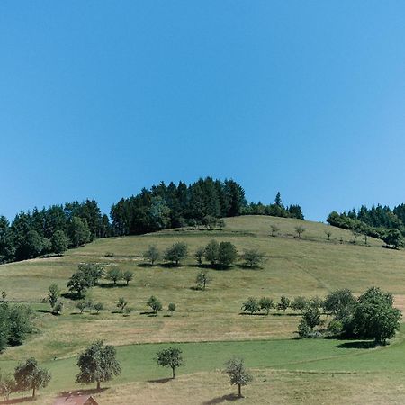 Moderne 2 Zi.-Fewo Blackforest Art Barrierefrei Naehe Freiburg Simonswald Εξωτερικό φωτογραφία
