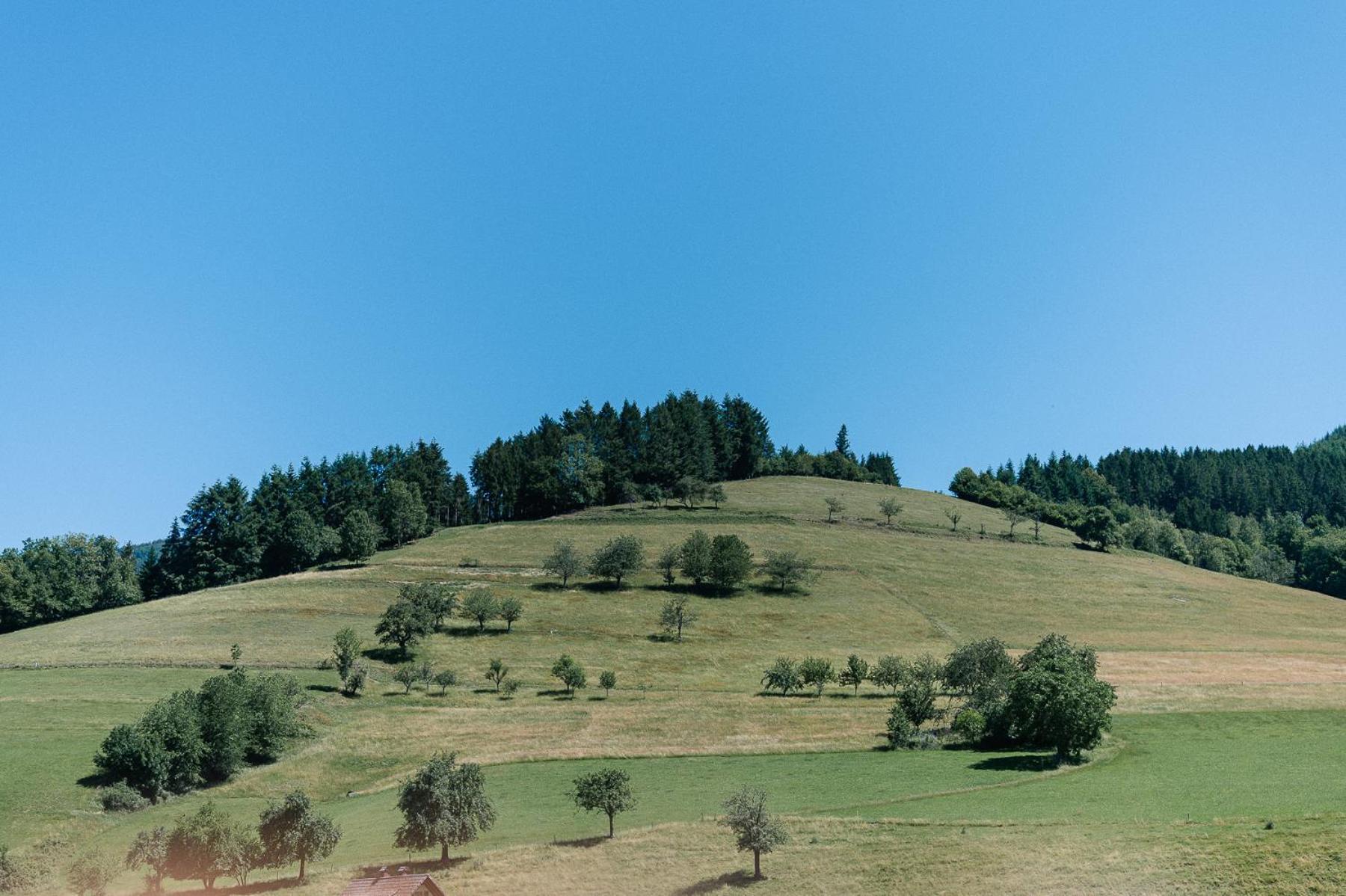 Moderne 2 Zi.-Fewo Blackforest Art Barrierefrei Naehe Freiburg Simonswald Εξωτερικό φωτογραφία