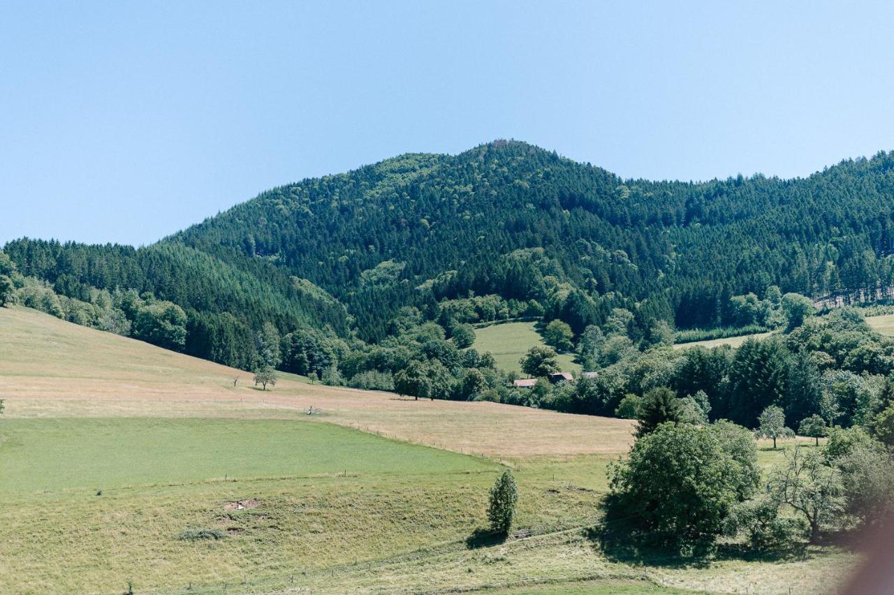 Moderne 2 Zi.-Fewo Blackforest Art Barrierefrei Naehe Freiburg Simonswald Εξωτερικό φωτογραφία